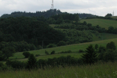 lazek