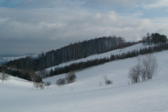 sjezd